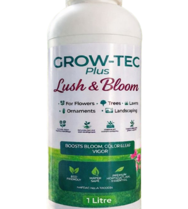 Lush & Bloom